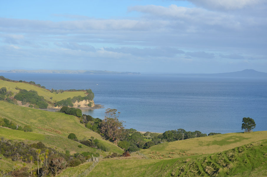 dsc_0723.jpg