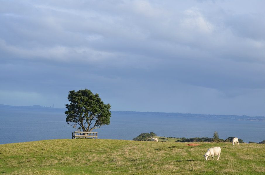 dsc_0727.jpg