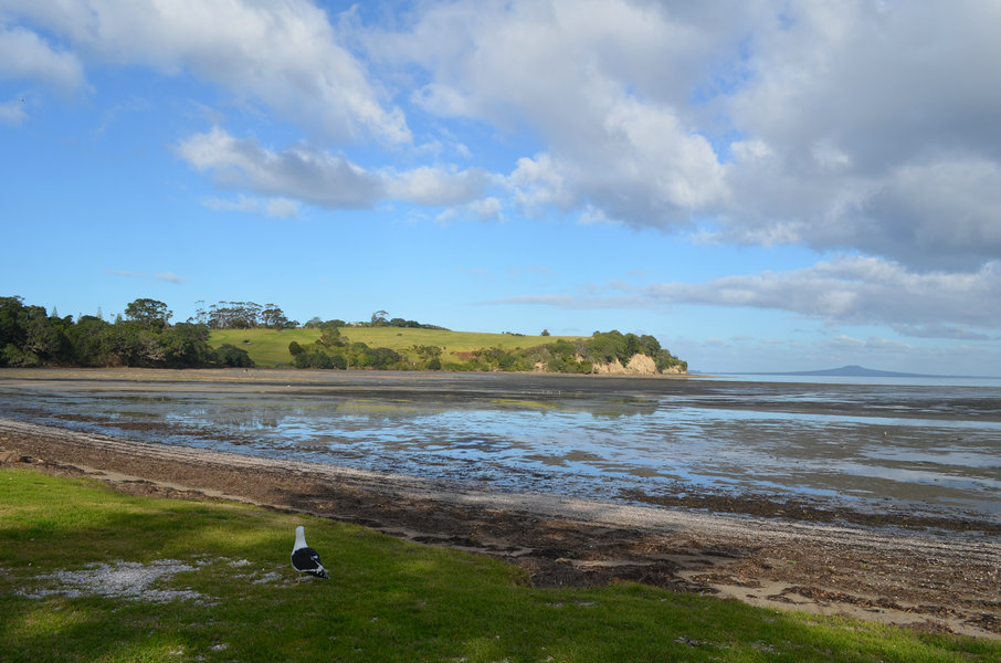 dsc_0690.jpg