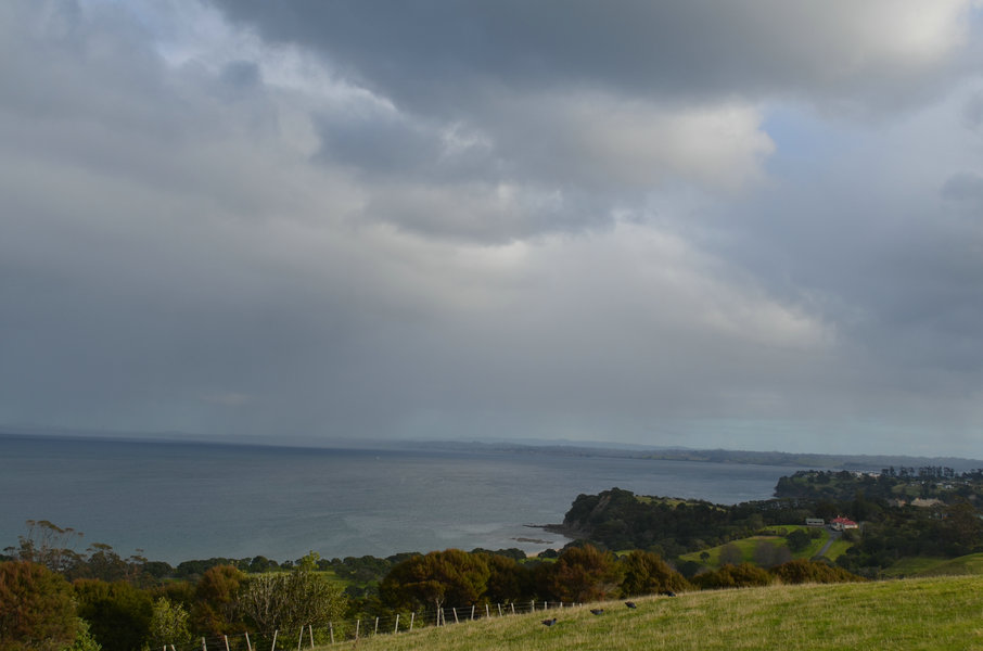 dsc_0737.jpg