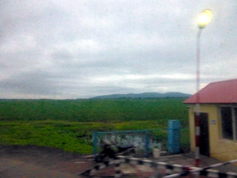 p1230056.jpg