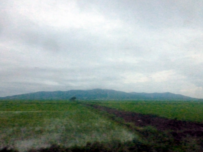 p1230057.jpg