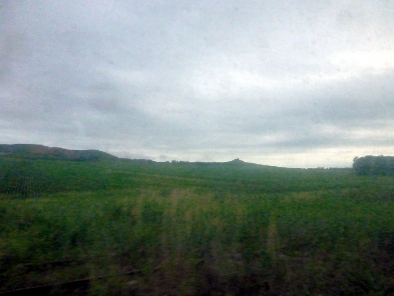 p1230055.jpg