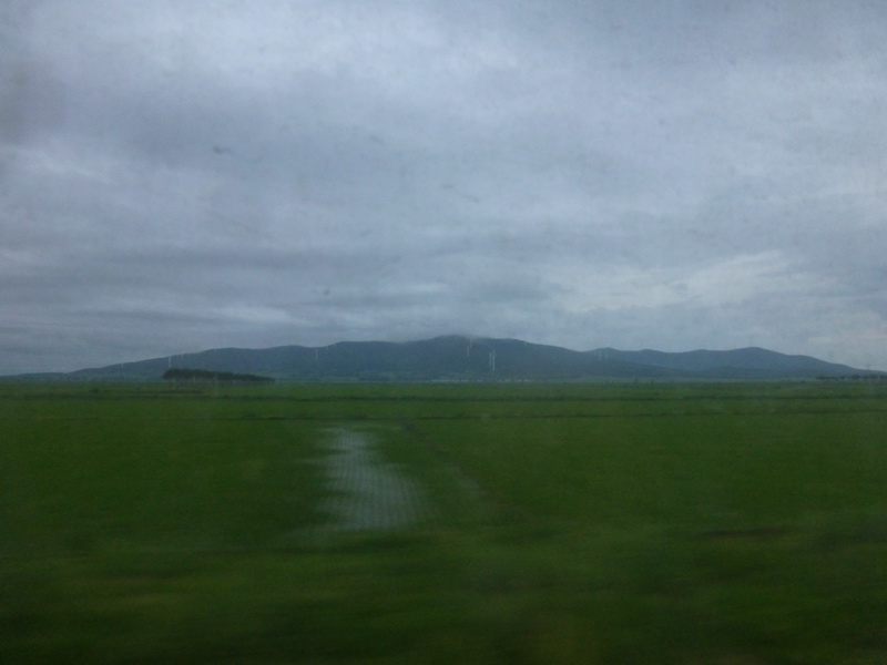 p1230058.jpg