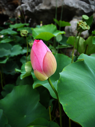 p1040645_.jpg