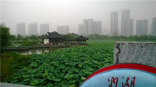 medialib_camera roll_wp_20140701_032_.jpg
