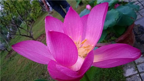 medialib_camera roll_wp_20140701_040_.jpg