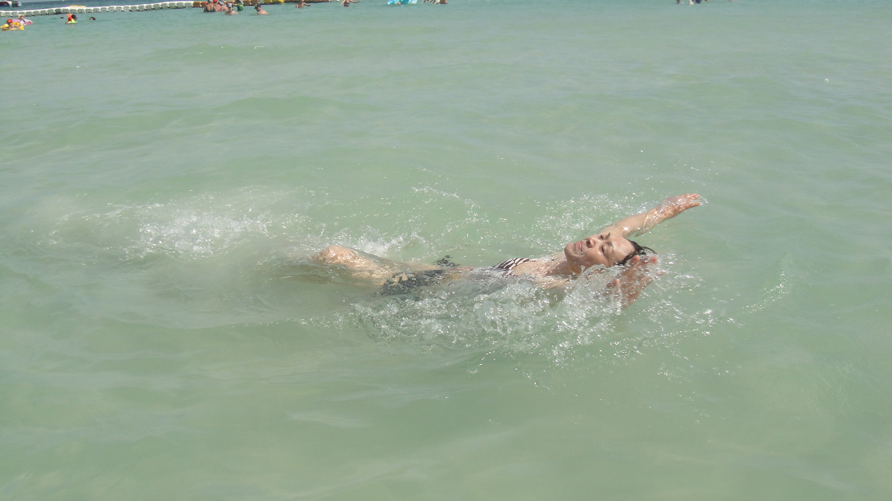 dsc09488.jpg