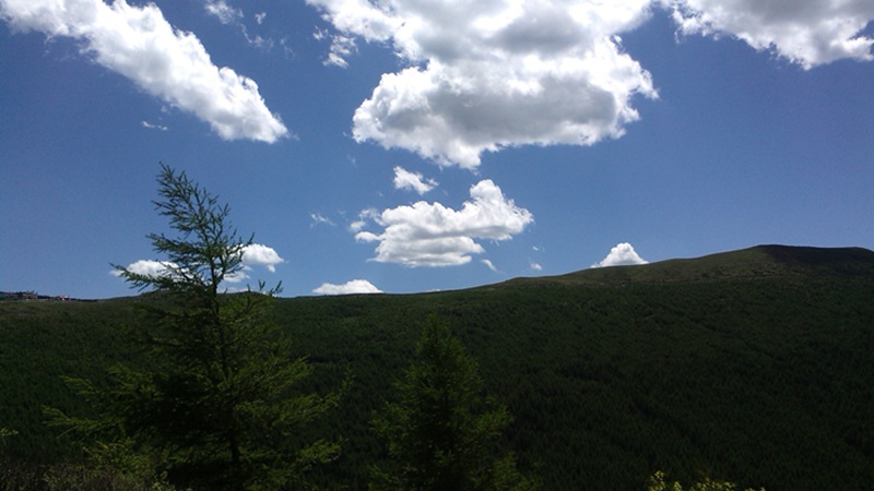 img_20140609_135623.jpg