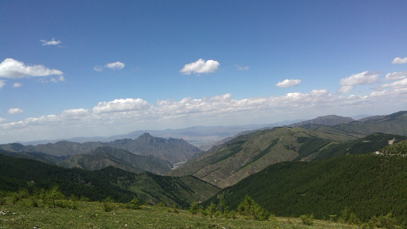 img_20140609_135927.jpg