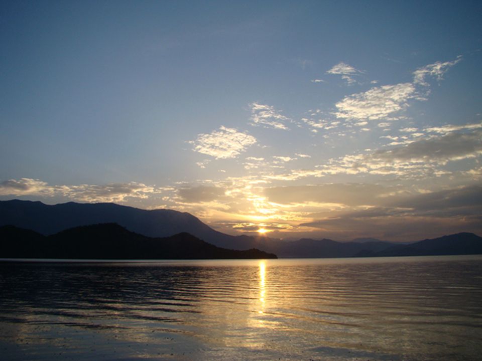 dsc03536.jpg