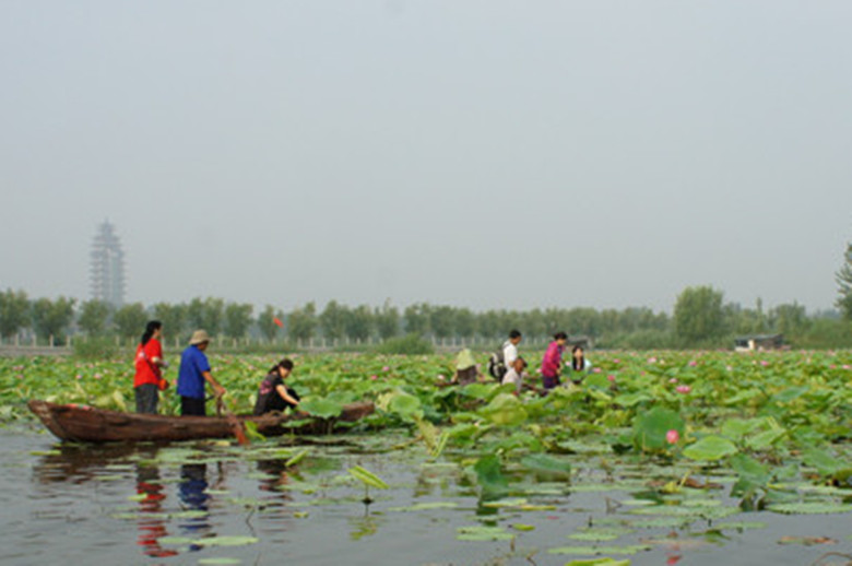dsc08882_副本.jpg