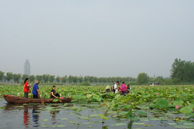 dsc08881_副本.jpg