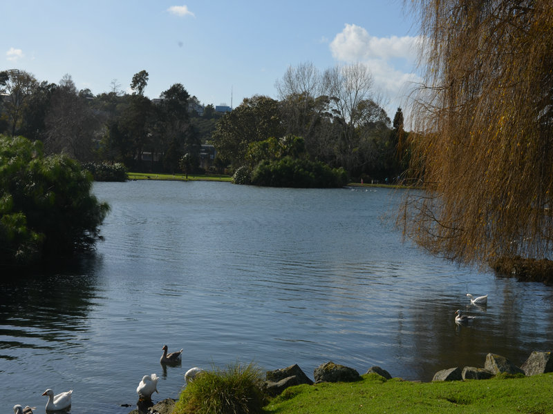 dsc_0291.jpg