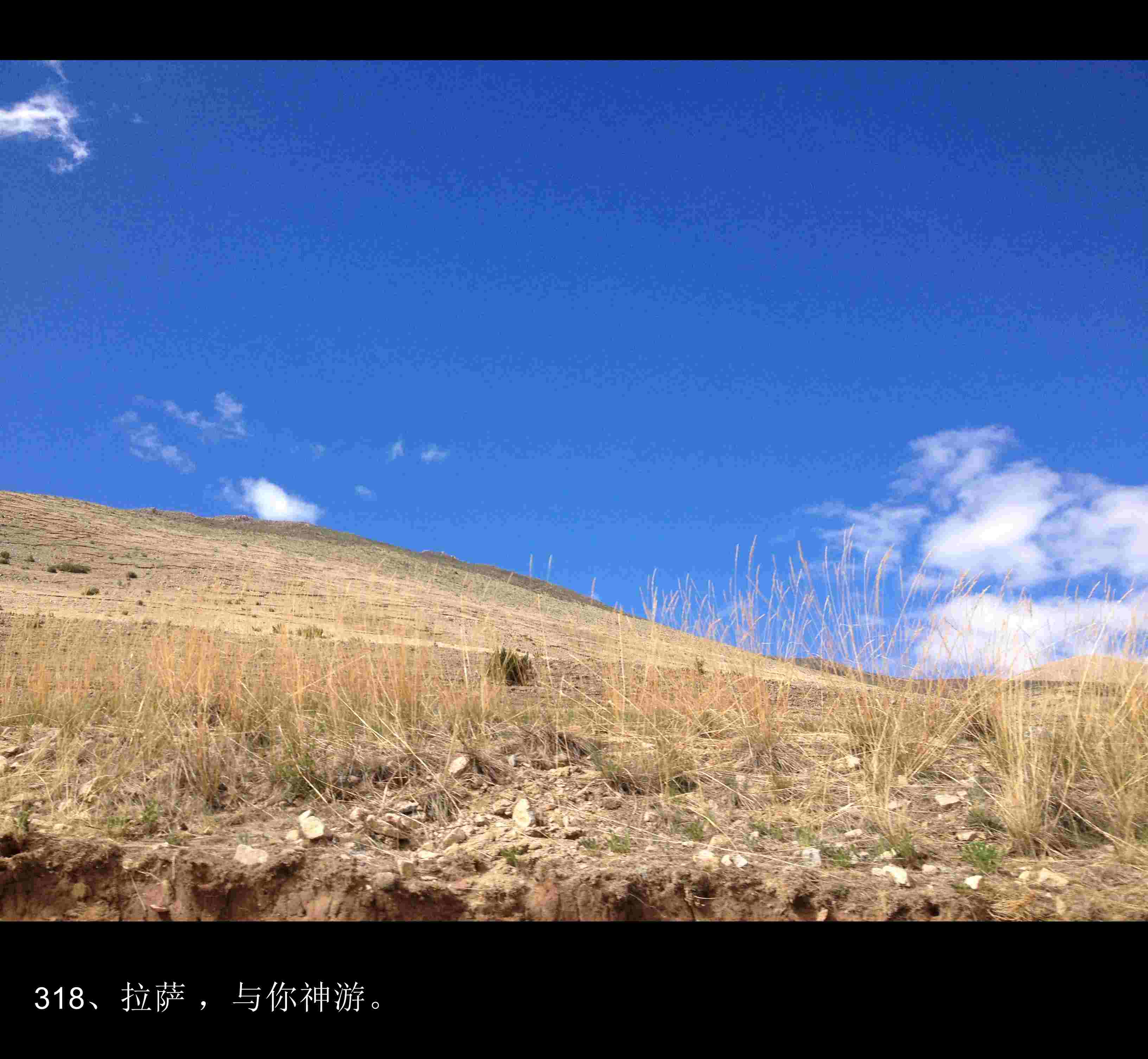 img_1312.b90a1fff2b7045ebbc51569ce332d680_conew1.j