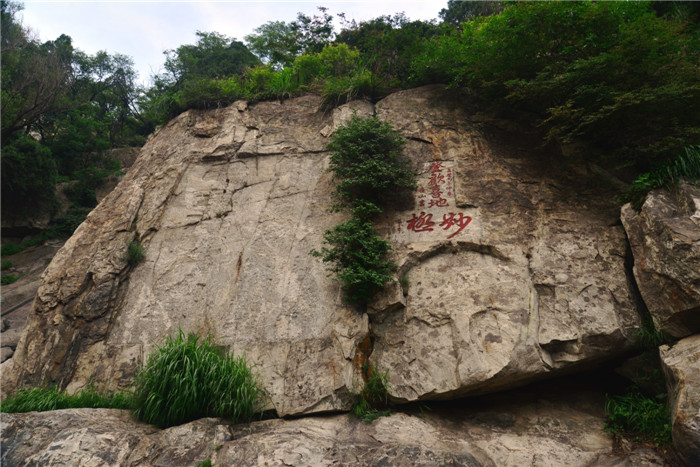dsc_0031_副本.jpg