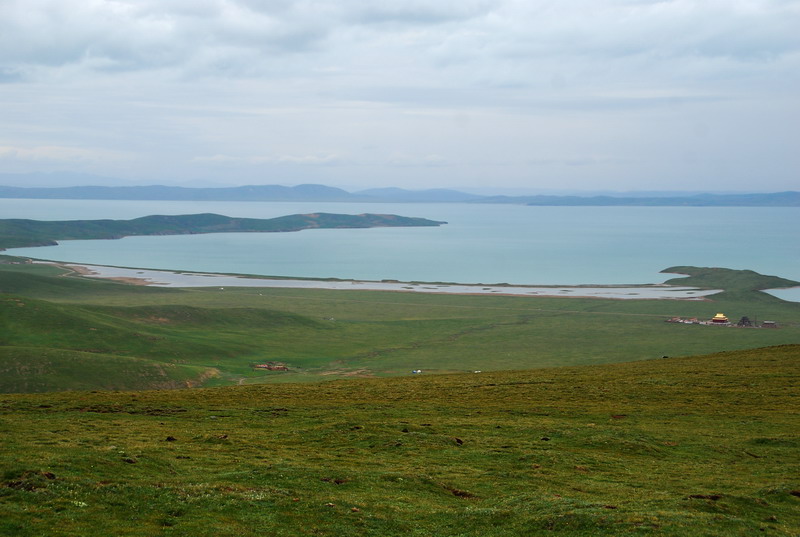 dsc_0001.jpg