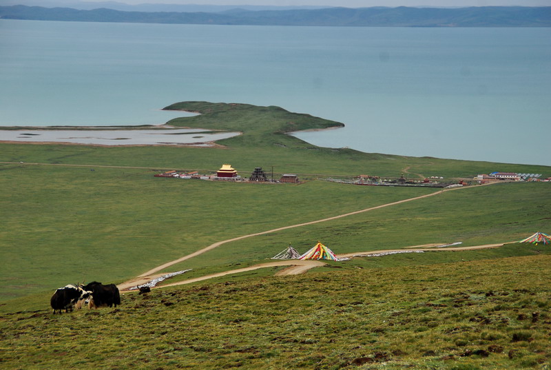 dsc_0012.jpg