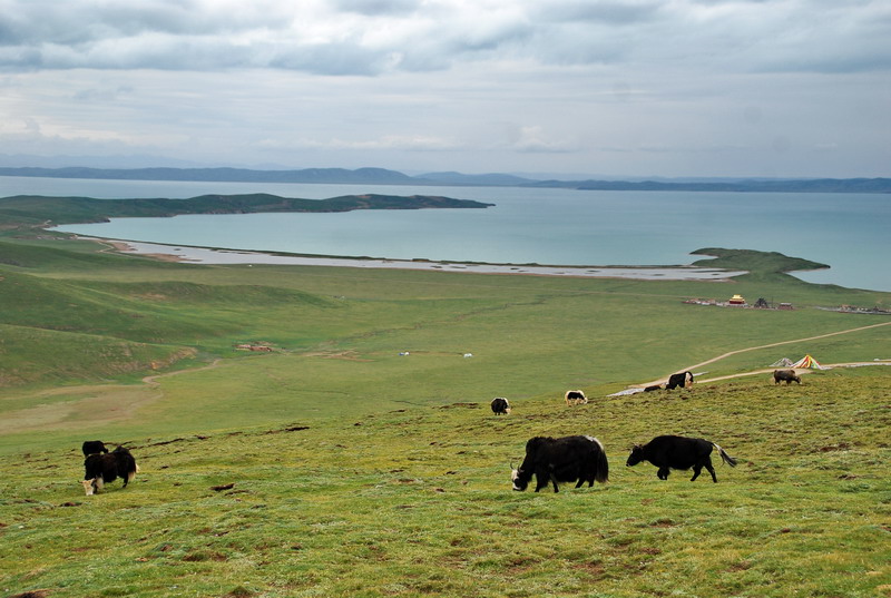 dsc_0007.jpg