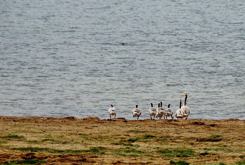 dsc_0042.jpg