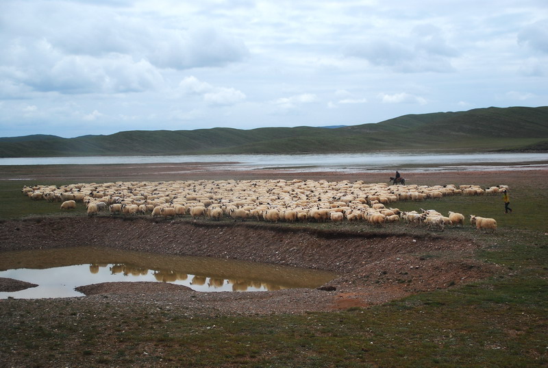 dsc_0048.jpg