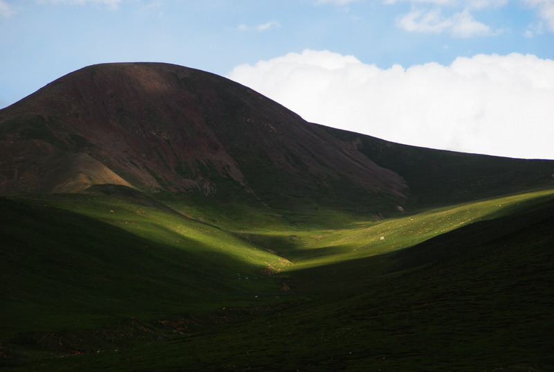 dsc_0114.jpg