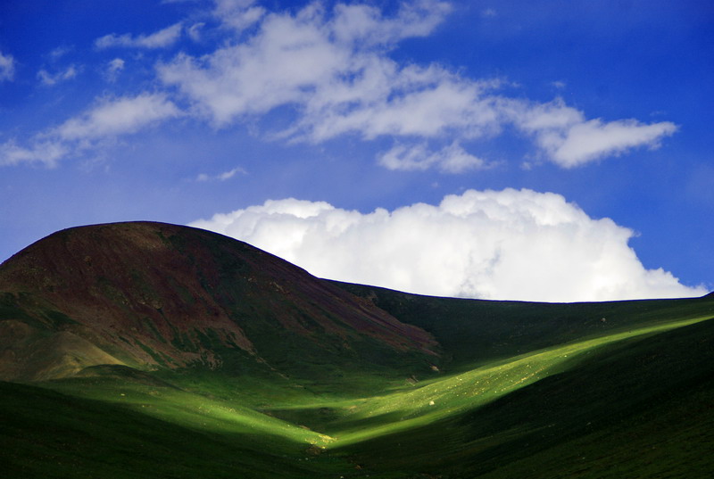 dsc_0115.jpg