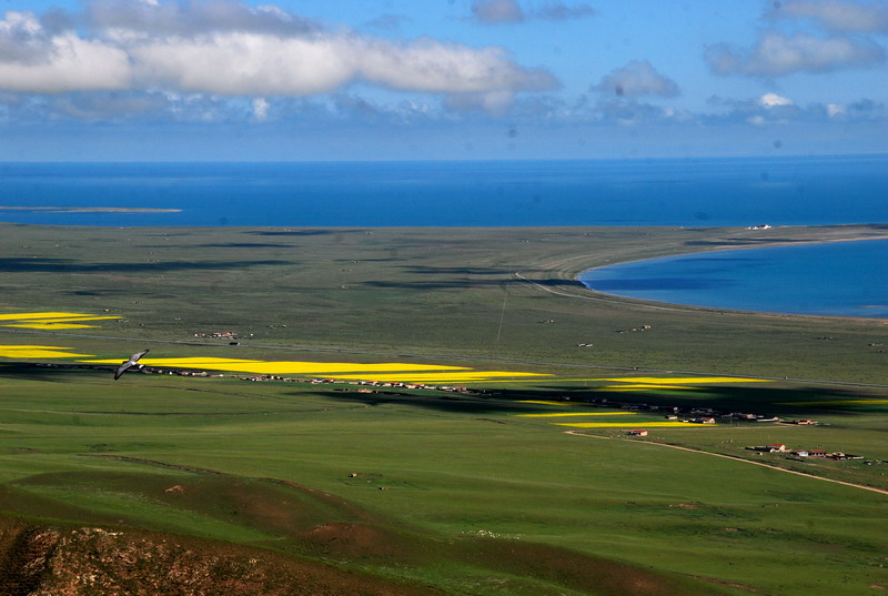 dsc_0209.jpg