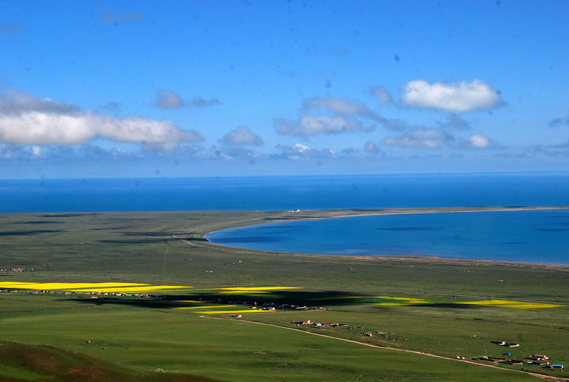dsc_0210.jpg