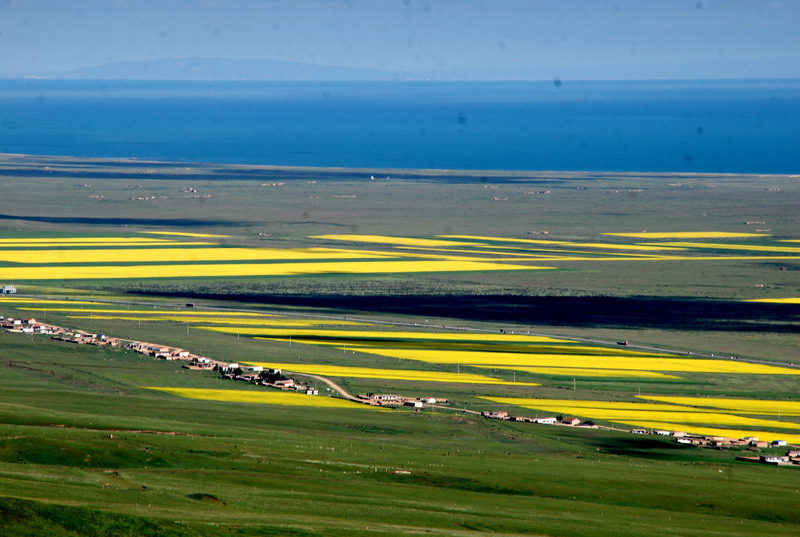 dsc_0236.jpg