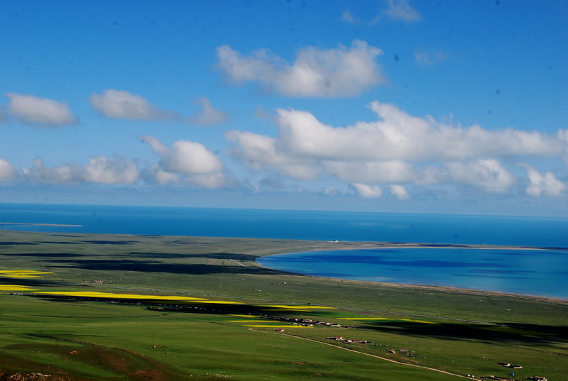 dsc_0230.jpg
