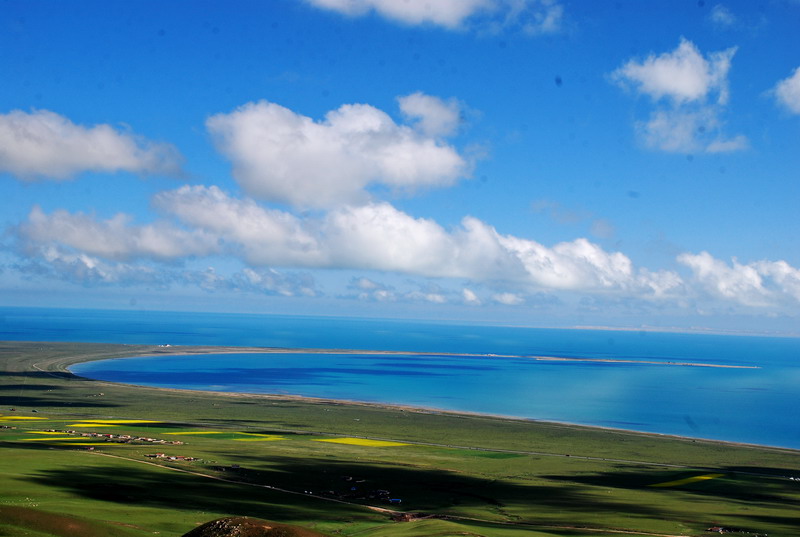dsc_0250.jpg
