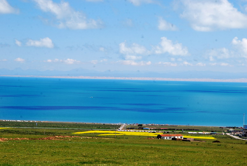 dsc_0323.jpg