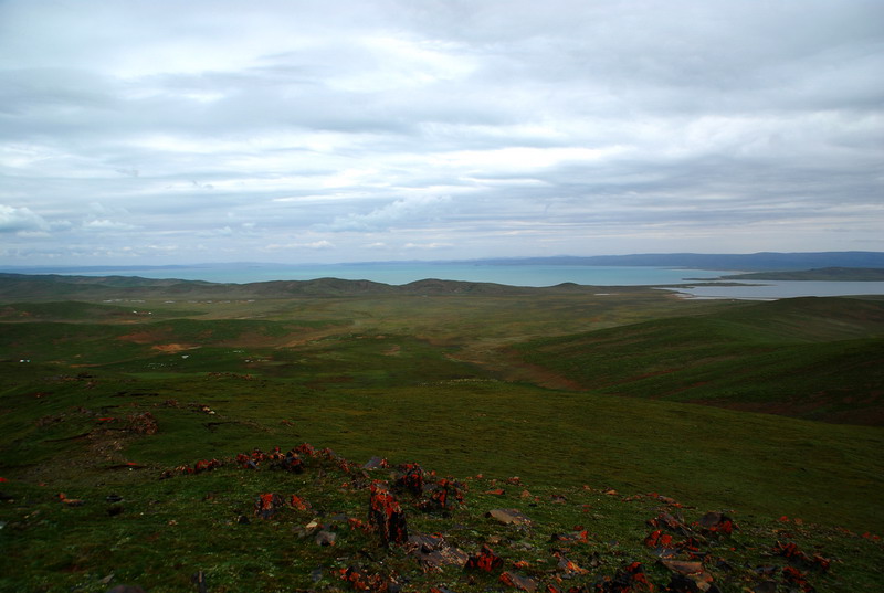 dsc_9976.jpg
