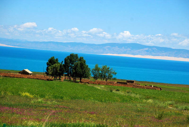 dsc_0659.jpg