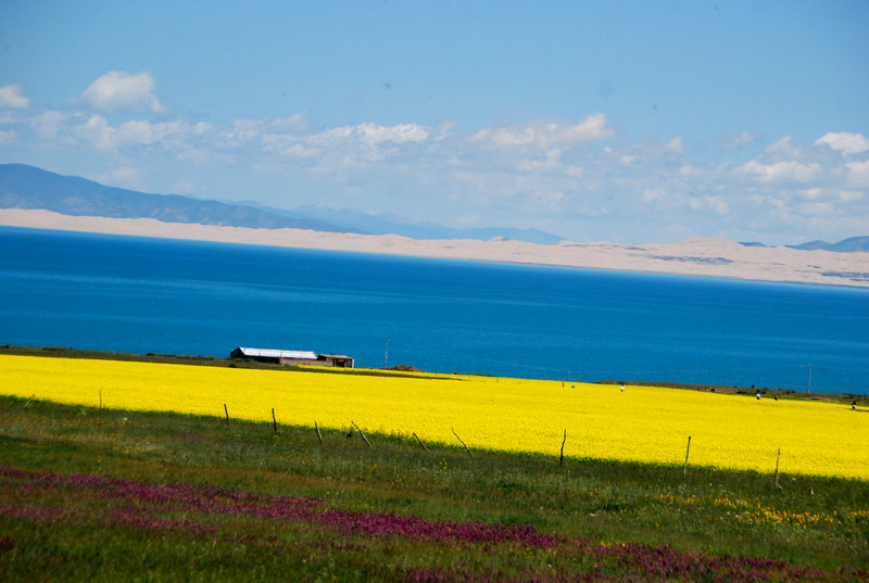dsc_0678.jpg