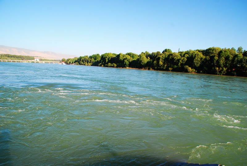 dsc_0765.jpg
