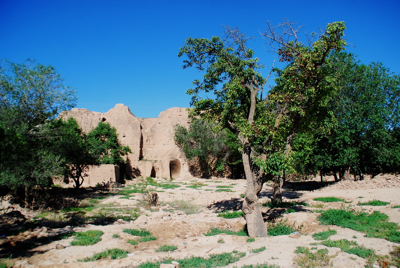 dsc_0861.jpg
