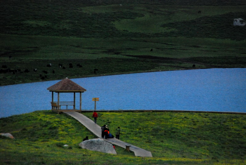 dsc_0993.jpg