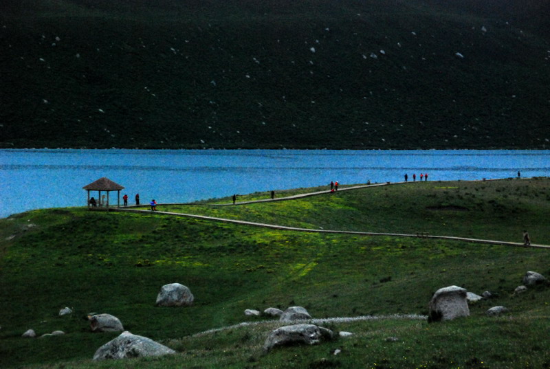 dsc_1010.jpg