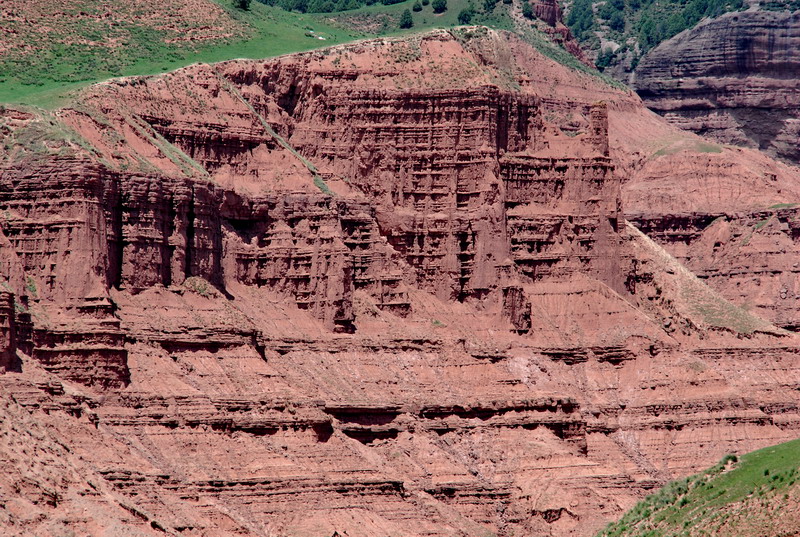 dsc_0871.jpg