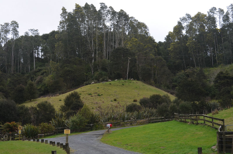 dsc_0002.jpg