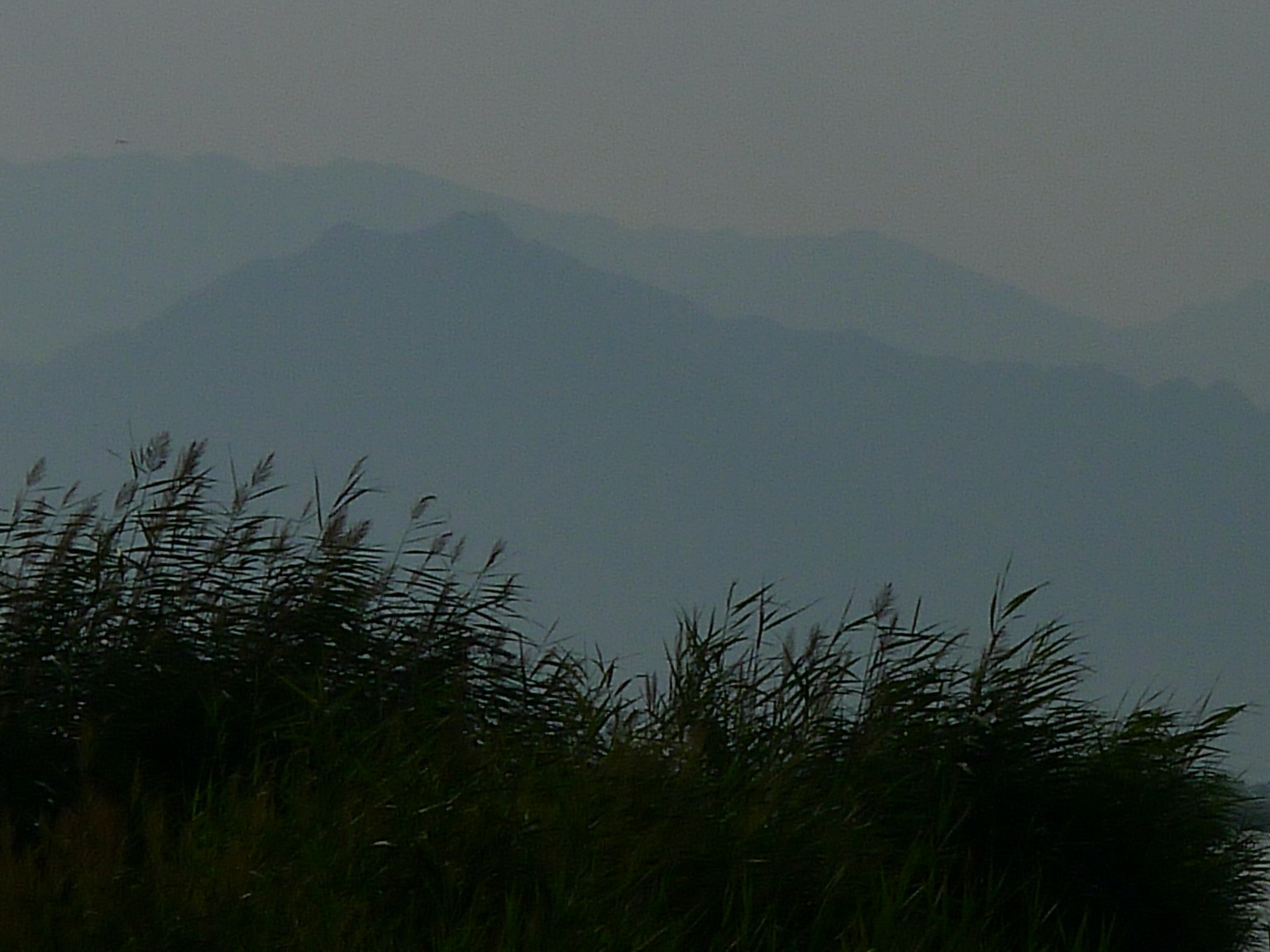 p1320337.jpg