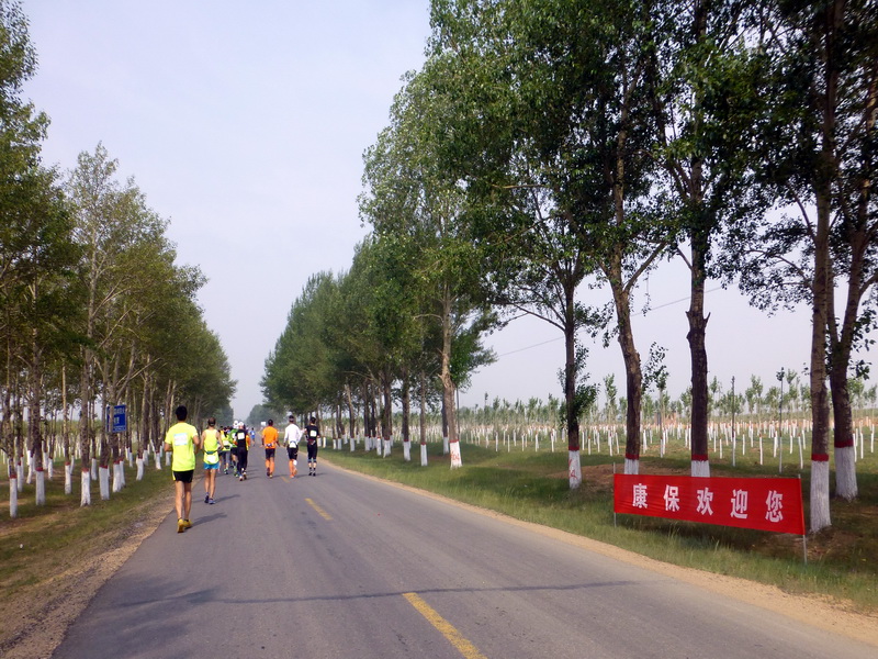 p1230440.jpg