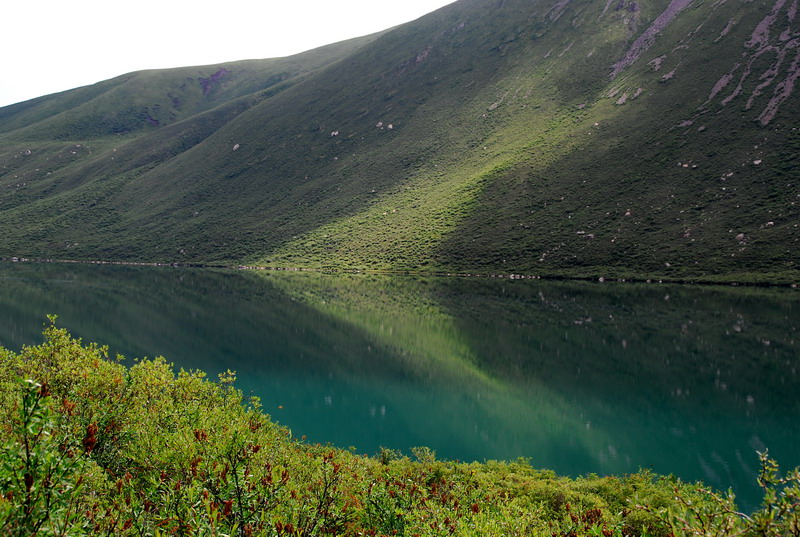 dsc_1103.jpg