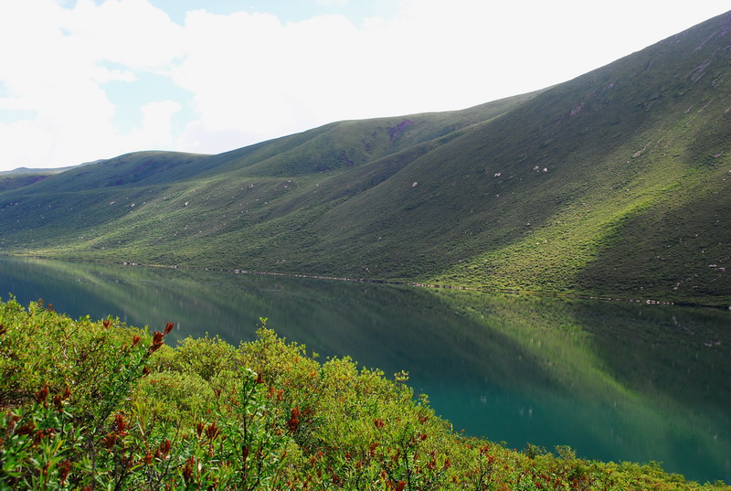 dsc_1105.jpg