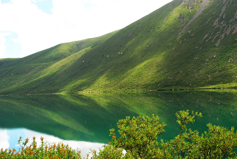 dsc_1110.jpg