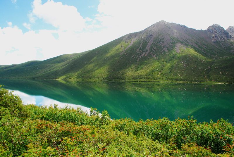 dsc_1112.jpg