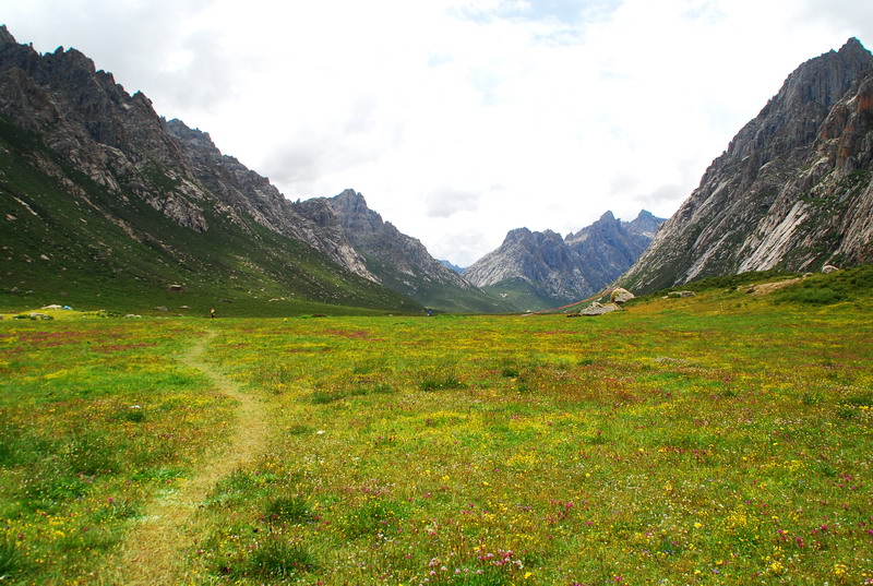 dsc_1156.jpg