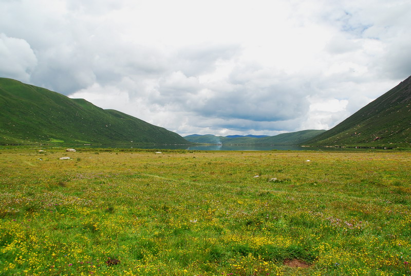 dsc_1158.jpg